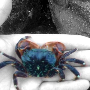 Meet your Posher, Dan